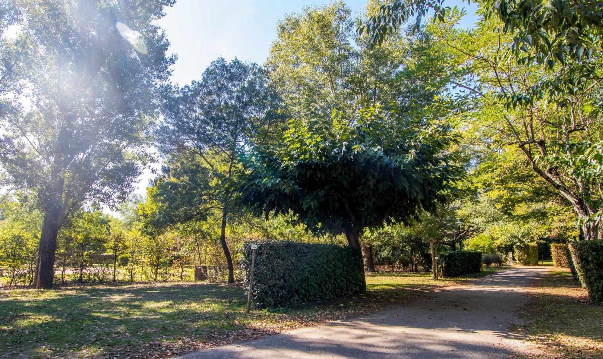 Hotel Du Cros D'Auzon Saint-Maurice-dʼArdèche Kültér fotó